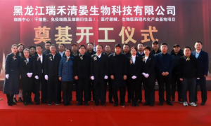 黑龍江開(kāi)工圖片